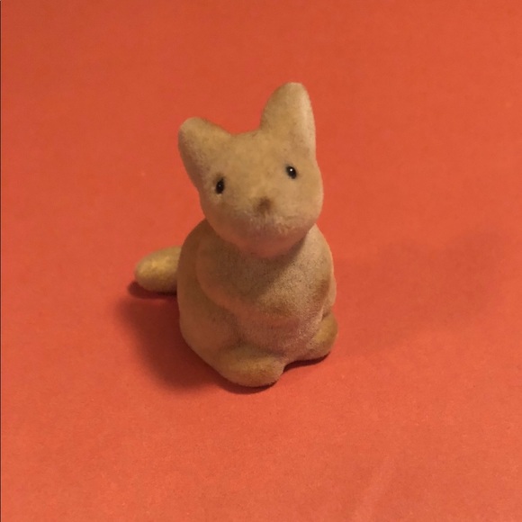 Meet your Posher, Shayla - Picture 4 of 12